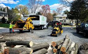 Best Commercial Tree Services  in Laurens, SC